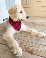 Load image into Gallery viewer, Red Buffalo Plaid Pet Bandana