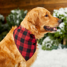 Load image into Gallery viewer, Red Buffalo Plaid Pet Bandana