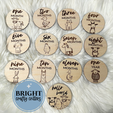 Load image into Gallery viewer, Farm Animals Monthly Milestones Wooden Discs
