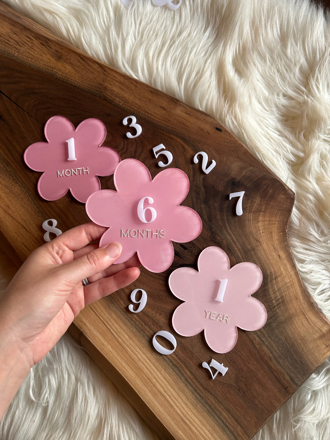 Daisy Monthly Milestones Acrylic Discs