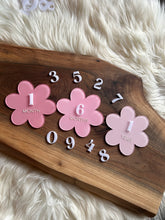 Load image into Gallery viewer, Daisy Monthly Milestones Acrylic Discs

