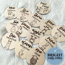 Load image into Gallery viewer, Farm Animals Monthly Milestones Wooden Discs
